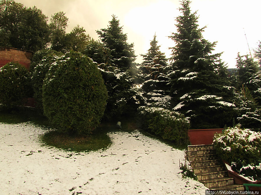 На горе Кок-Тобе На горе Кок-Тобе