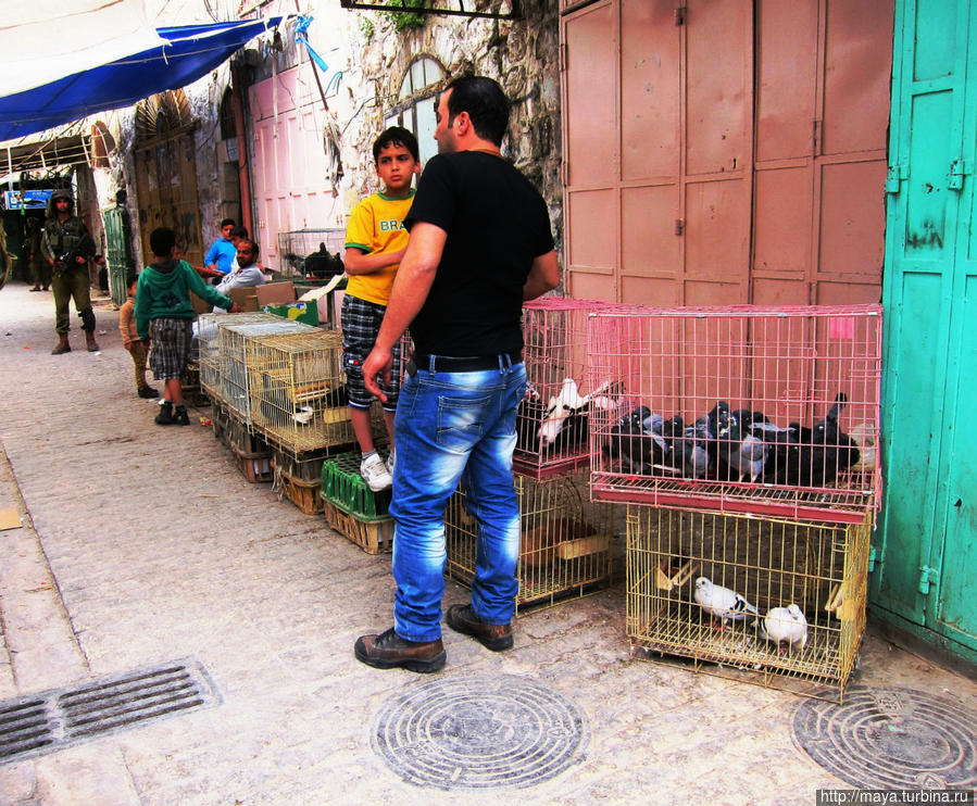 Две половинки одного целого: Хеврон арабский Хеврон, Палестина