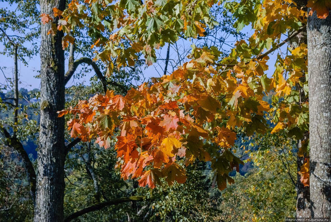 Рыжая осень, Сигулда Сигулда, Латвия