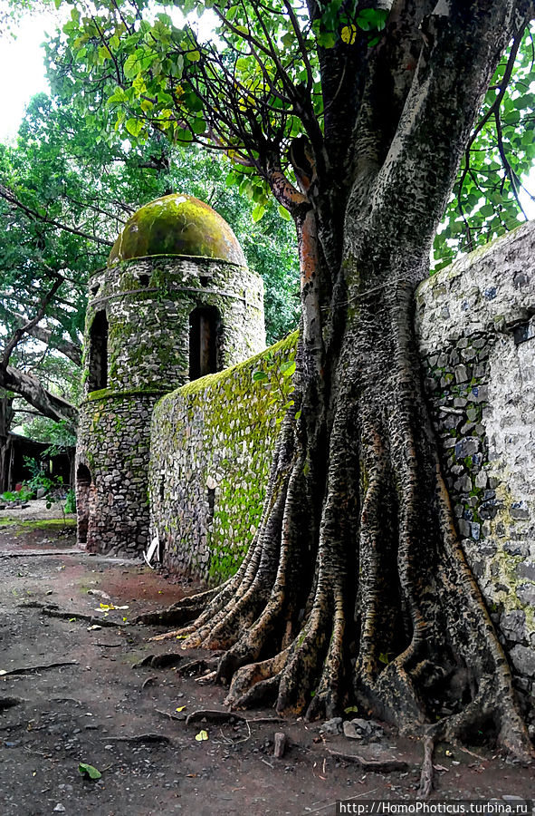 Стена вокруг бассейна Фасилидаса Стена вокруг бассейна Фасилидаса