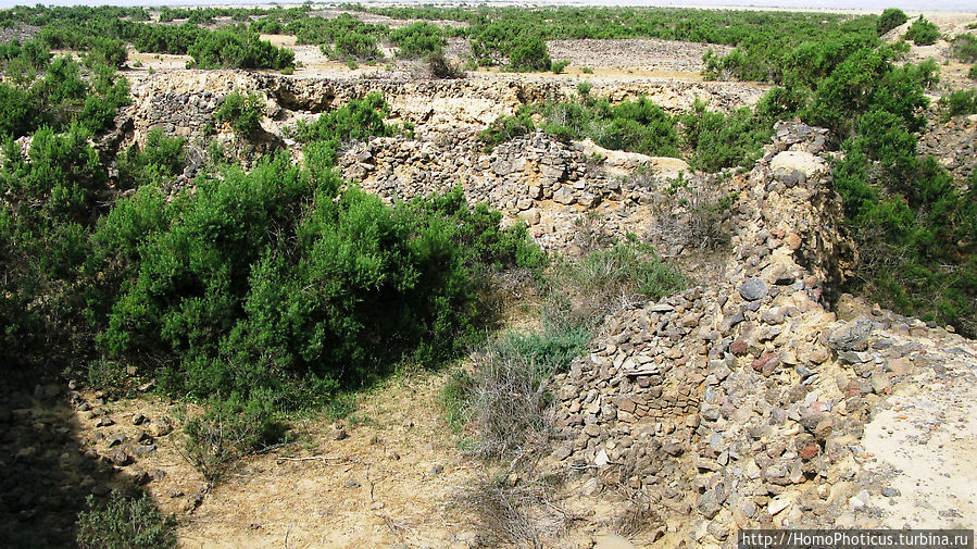 Руины Адулиса Руины Адулиса