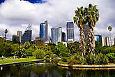 Вид на небоскребы Сиднея из ботанического сада напоминает скорее Центральный парк Нью Йорка.