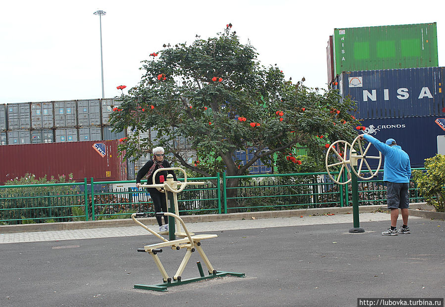 По дороге установлены площадки тренажёры. По дороге установлены площадки тренажёры.