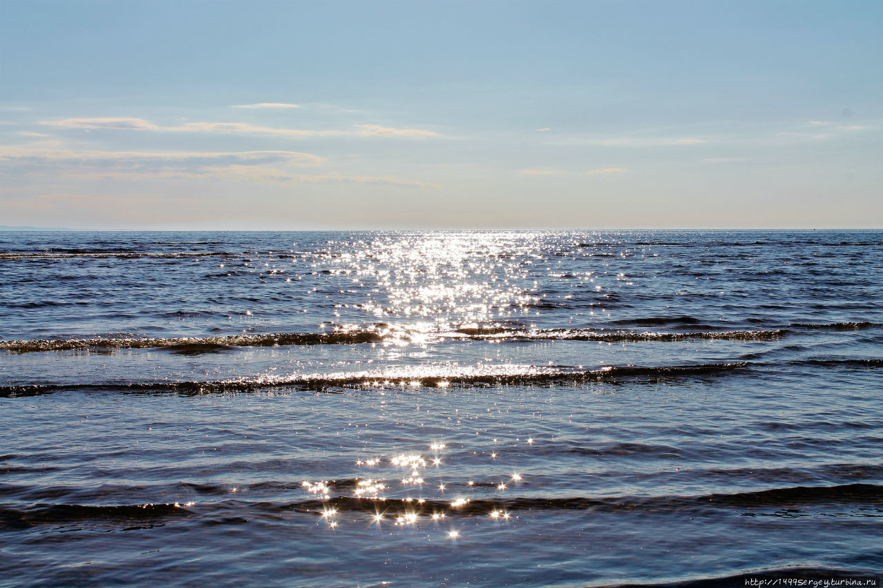 Мой вопрос к Солнцу Сосновый Бор, Россия Мой вопрос к Солнцу Сосновый Бор, Россия