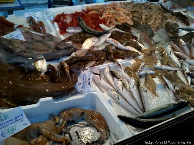 Гаета Террачина, Италия Гаета Террачина, Италия