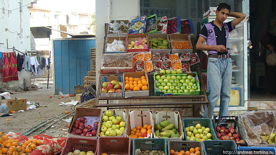Изобилие дешёвых фруктов — это здорово! Египет