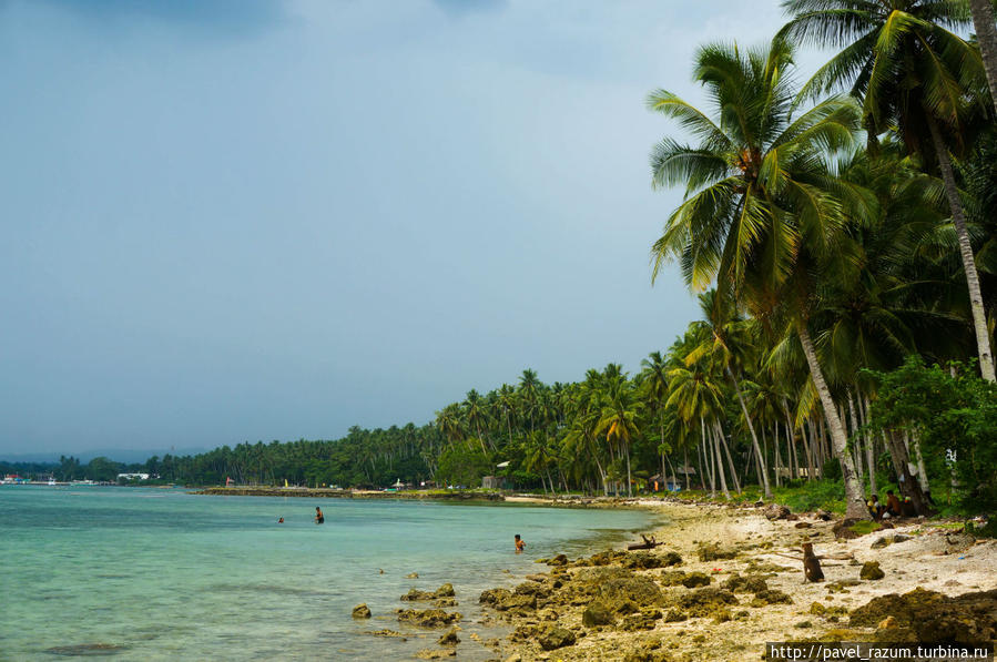 Евразия-2012 (33) — Филиппины, остров Самал Остров Самал, Филиппины