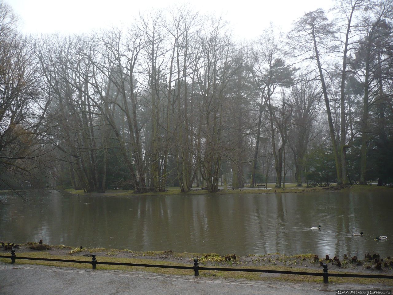 Оливский парк Гданьск, Польша
