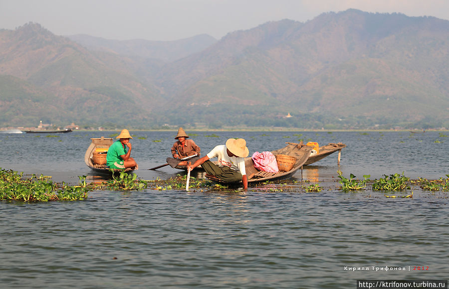 Озеро Инле Хехо, Мьянма Озеро Инле Хехо, Мьянма
