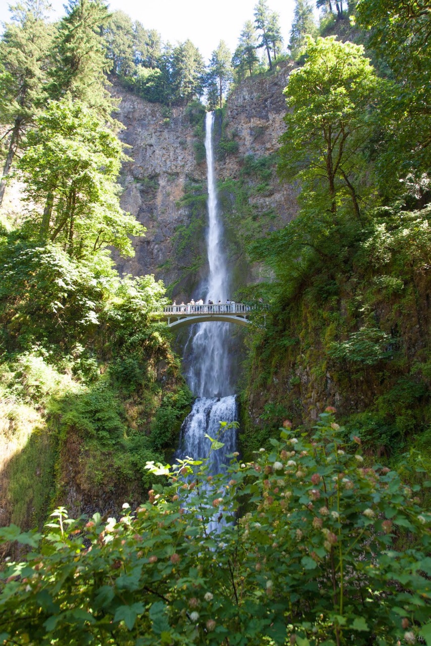 Королевство водопадов на реке Колумбия. Орегон Вашингтон Коламбия-Риве-Гордж, CША