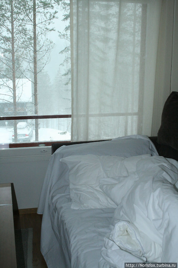 Заснеженный лес за окном... Вуокатти, Финляндия