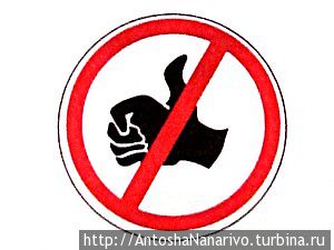 Носороги на дороге Мозамбик Носороги на дороге Мозамбик