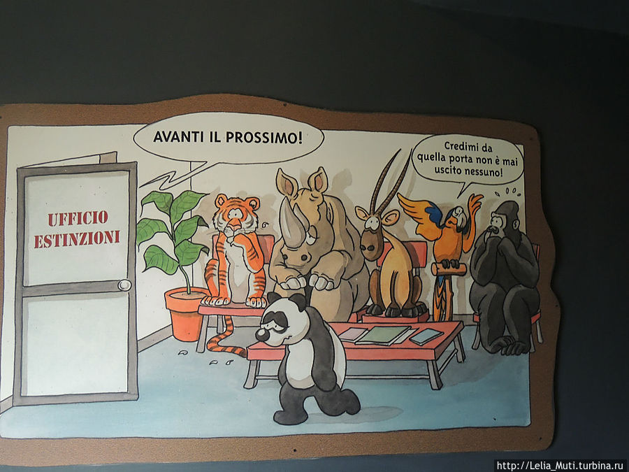 Zoo Roma Рим, Италия Zoo Roma Рим, Италия