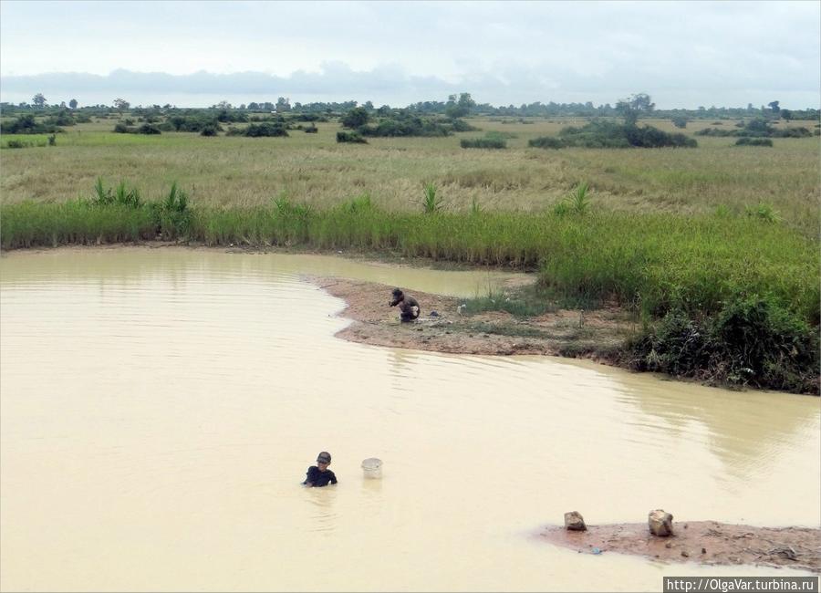 Ребятишки не купаются, а ловят всякую живность, обитающую в таких лужах, чтобы потом съесть Провинция Сиемреап, Камбоджа
