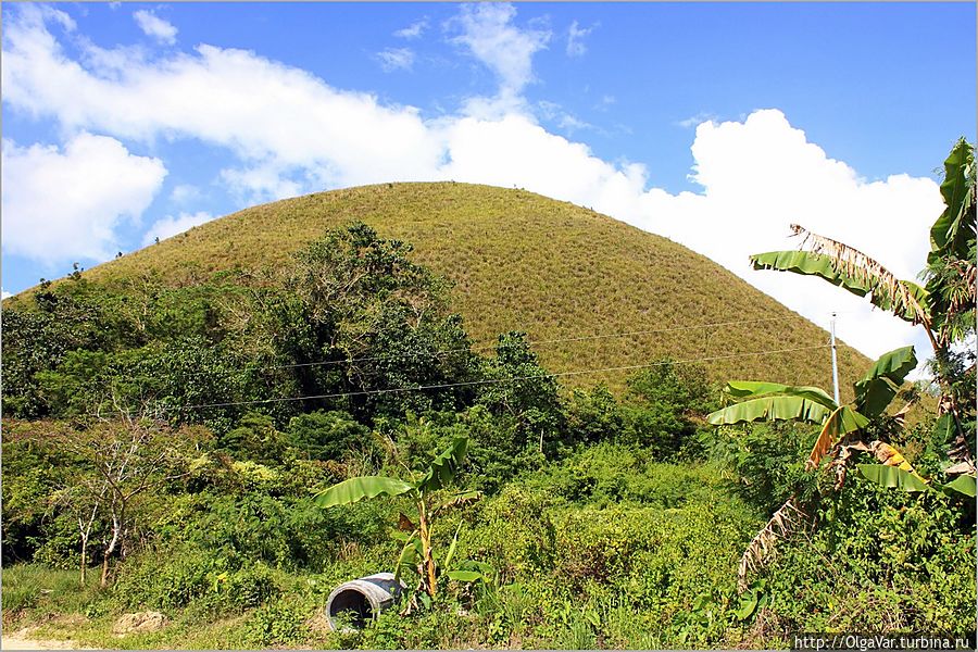 Мы спустились в долину, чтобы посмотреть на холмы снизу. Там нас и настиг ливень... Мы спустились в долину, чтобы посмотреть на холмы снизу. Там нас и настиг ливень...