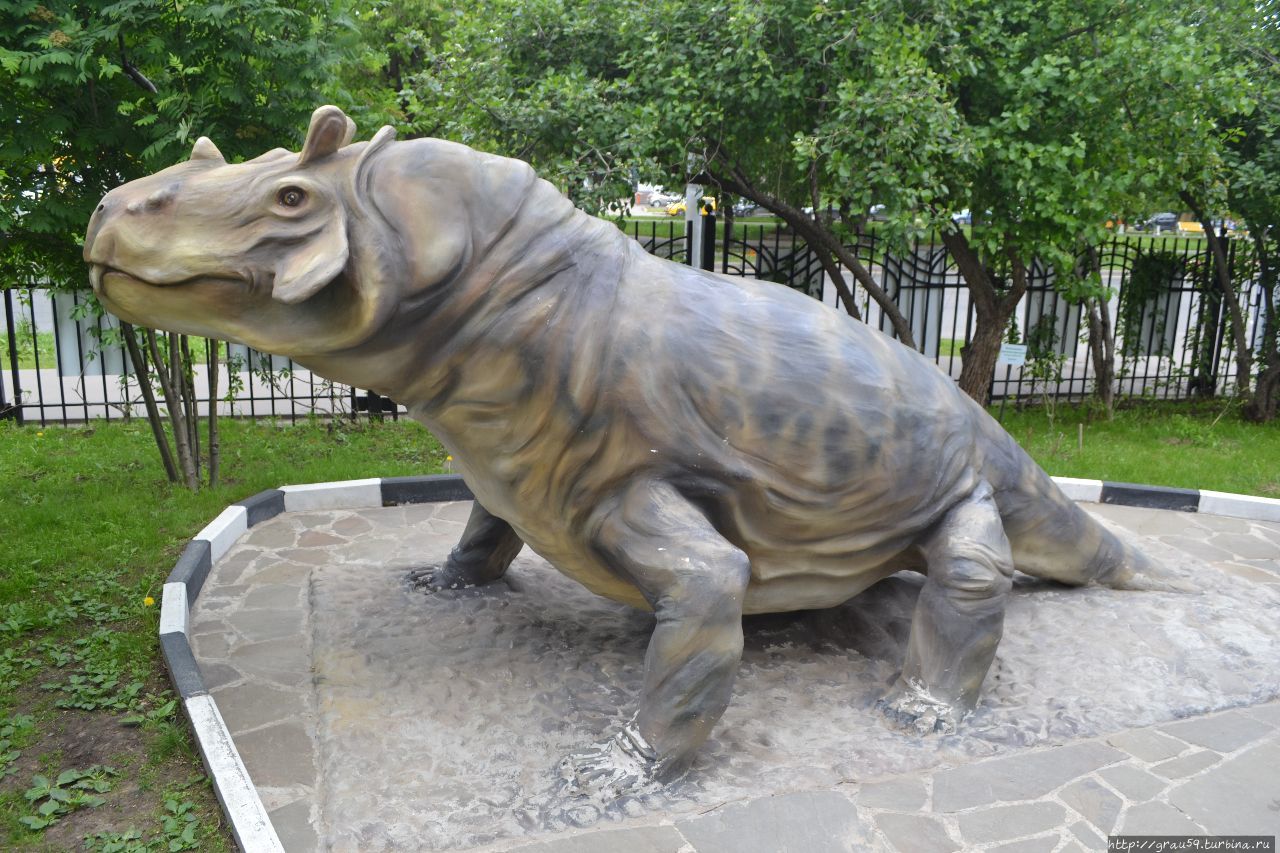 Дарвиновский музей. Динозавры, мамонт и сирень Москва, Россия