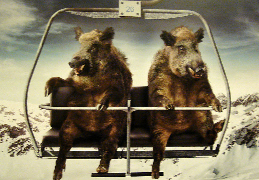 Напоминание туристам Напоминание туристам