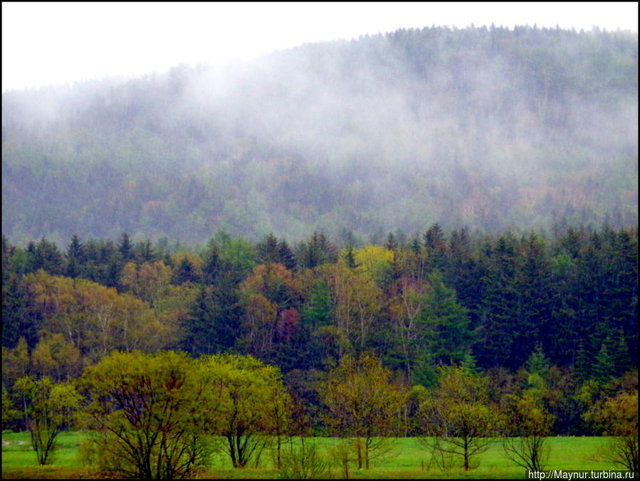 Это не туман, это облака. Несутся, цепляясь за верхушки деревьев. Над Сахалином низко облака — все ли знают откуда эти строки? Южно-Сахалинск, Россия Это не туман, это облака. Несутся, цепляясь за верхушки деревьев. Над Сахалином низко облака — все ли знают откуда эти строки? Южно-Сахалинск, Россия