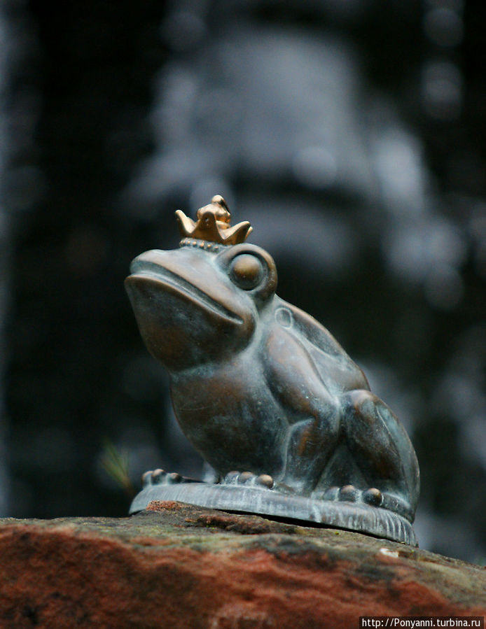 Царевна-лягушка там тоже есть,но по-немецки это называется царь-лягушк(мужского рода) Кальв, Германия