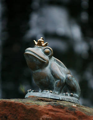 Царевна-лягушка там тоже есть,но по-немецки это называется царь-лягушк(мужского рода)