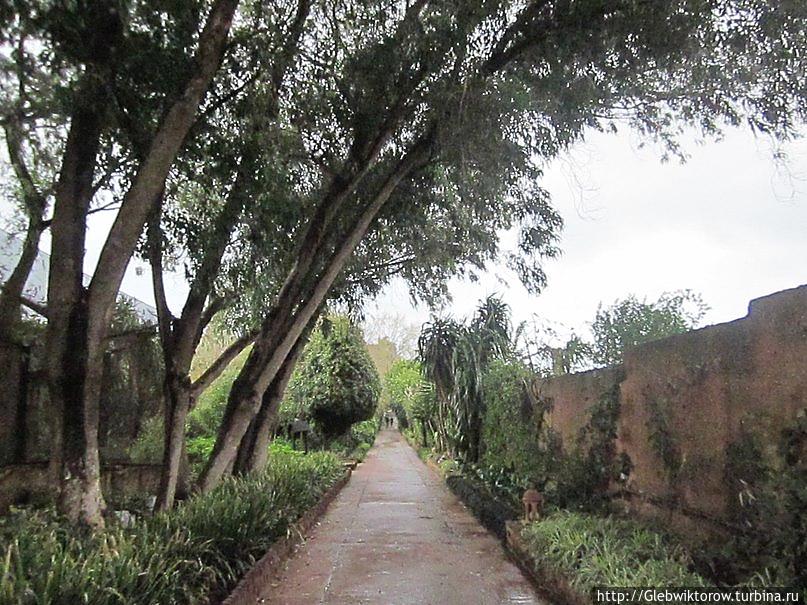 Рабат. Экзотические сады Рабат, Марокко