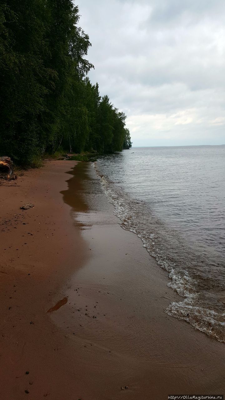 Август по-карельски (альбом). Республика Карелия, Россия Август по-карельски (альбом). Республика Карелия, Россия