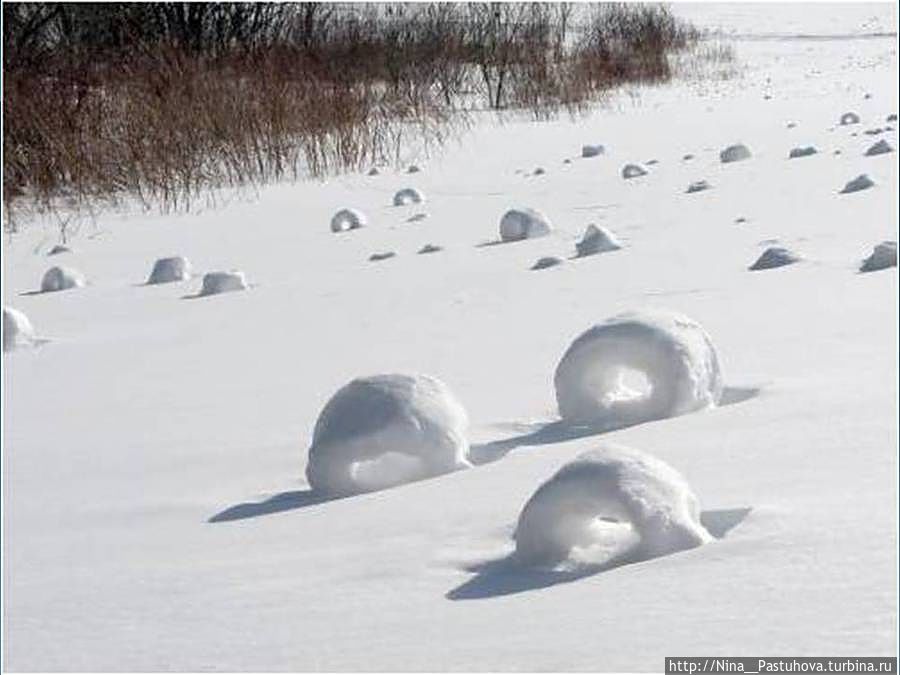 Ветряные проделки: снежные рулоны — зимний природный феномен