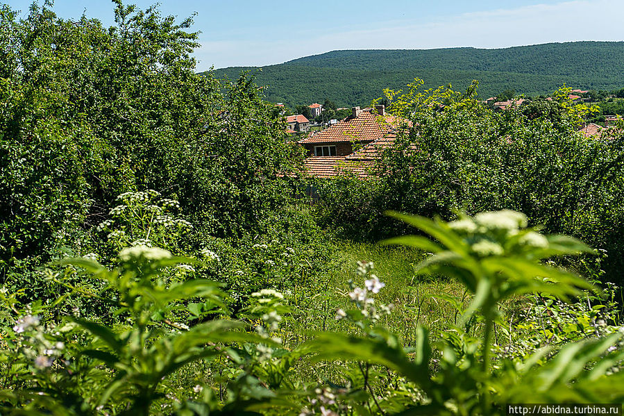 Болгарская пастораль. Горы, деревни, овечки и луга Свети-Влас, Болгария