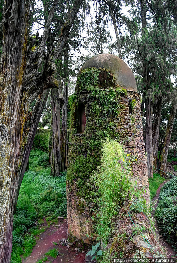 Дербре Берхан Селассие Дербре Берхан Селассие