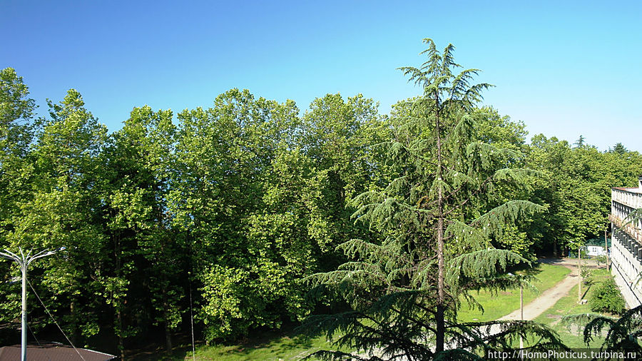 Черное Море Черное Море