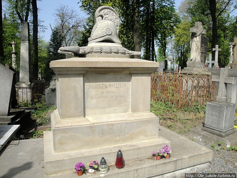 Надписи на надгробиях встречаются не только на украинском и русском языках, но и на латинском, греческом, польском, немецком, голландском, румынском, армянском Надписи на надгробиях встречаются не только на украинском и русском языках, но и на латинском, греческом, польском, немецком, голландском, румынском, армянском