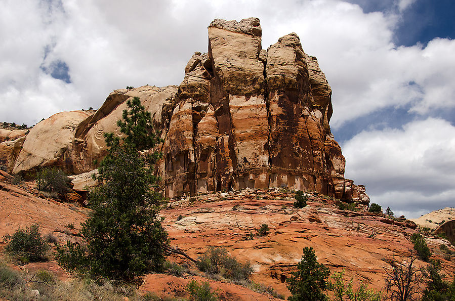 Поход к водопаду Calf Creek Falls Тропик, CША