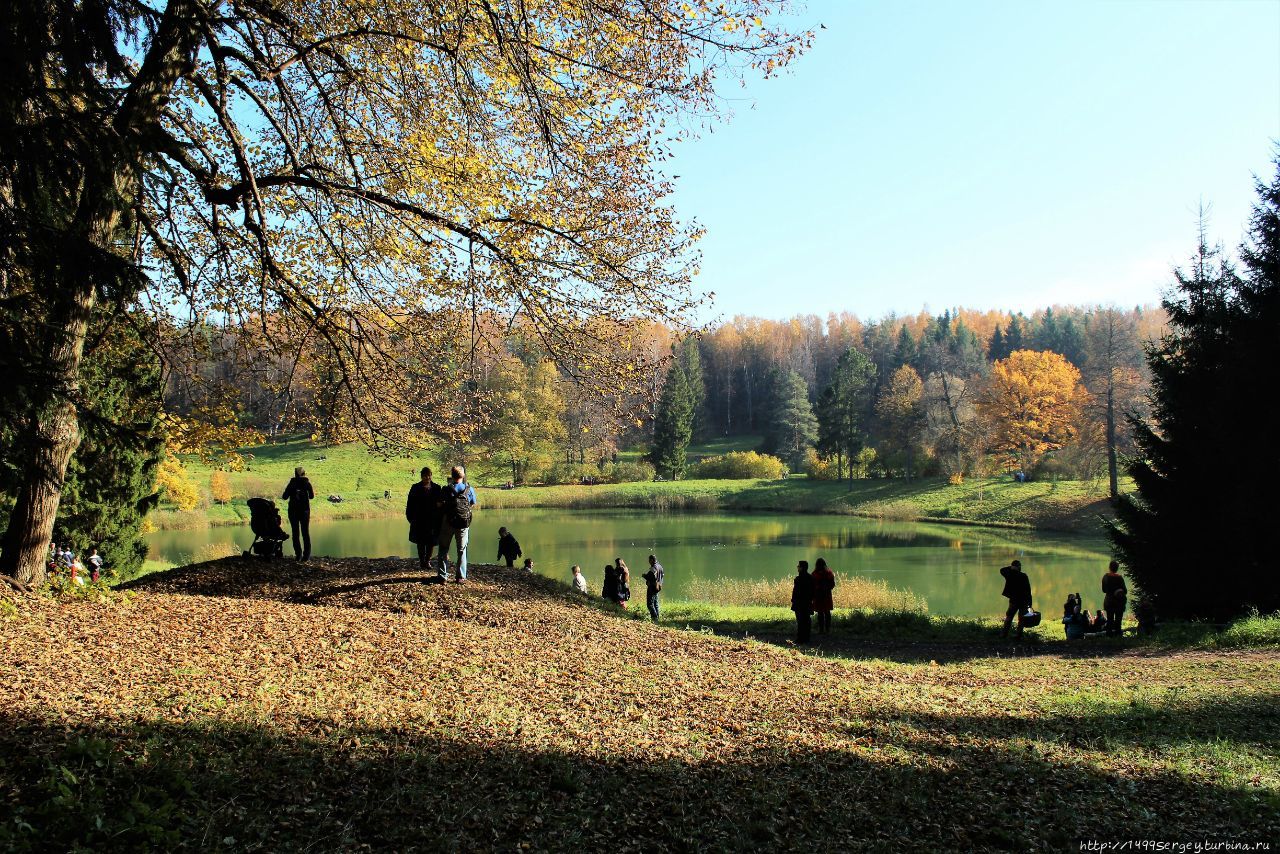Золотая осень в Павловском парке, какой не было 130 лет #1 Павловск, Россия