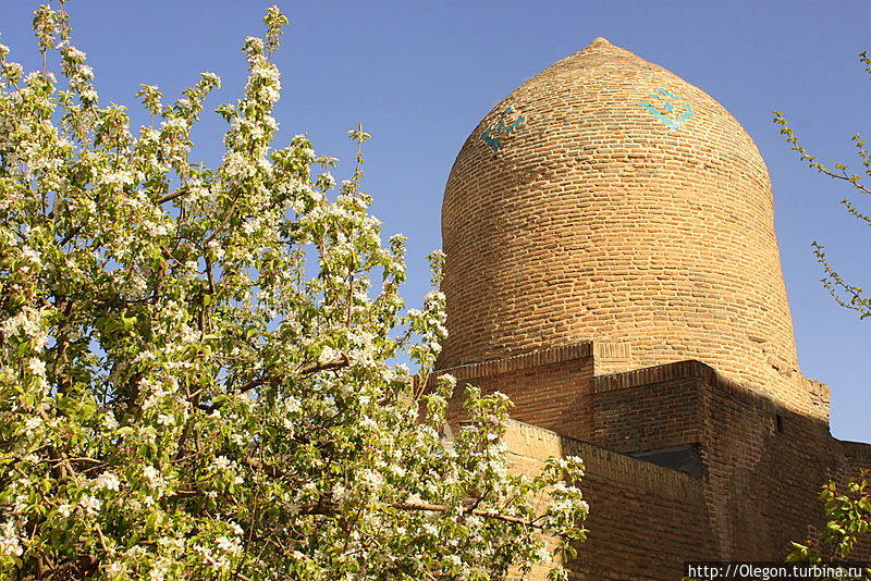 Звезда Давида в Исламской Республике Иран Хамадан, Иран