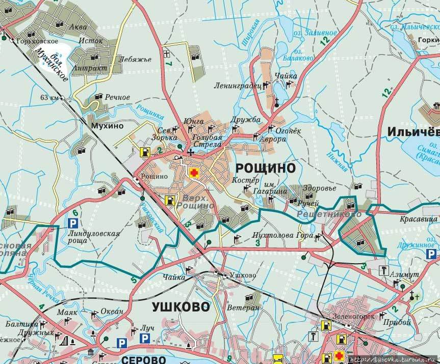 Аптеки Рощино Ленинградская Область Телефон Аптеки Рощино Ленинградская Область Телефон