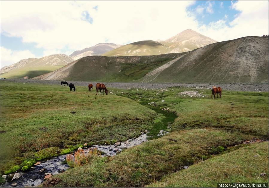 Множество ручьев и речек, стекающих с гор, пересекает долину Чуйская область, Киргизия