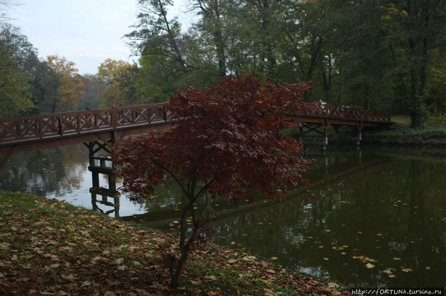 Замок Брунсвиков Мартонвашар, Венгрия Замок Брунсвиков Мартонвашар, Венгрия
