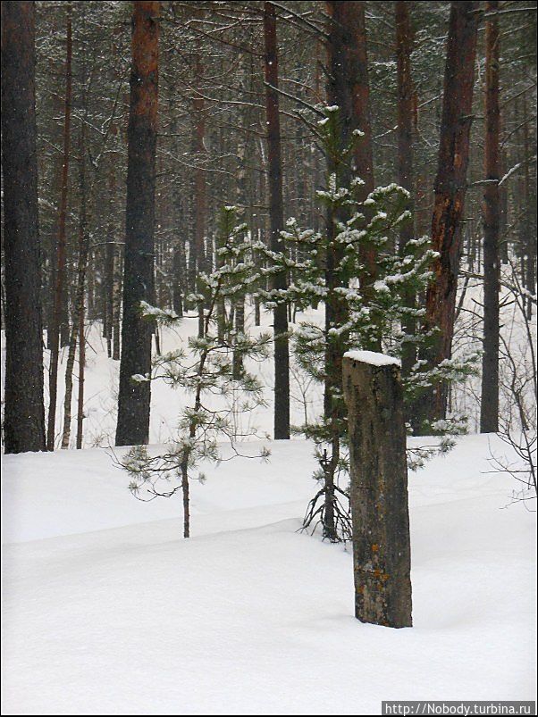Зимняя Эльба — 2013. Как это было Валдай, Россия