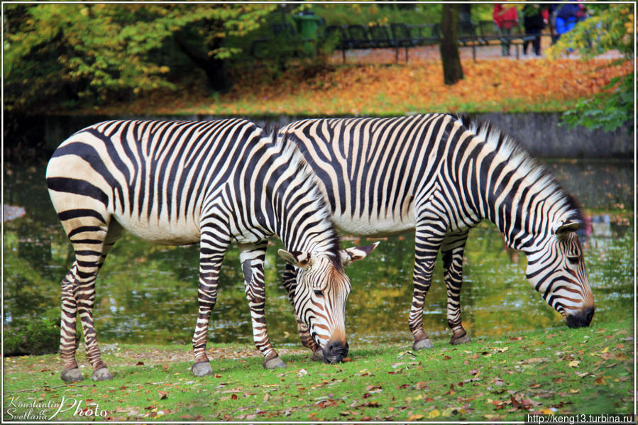 Зоопарк Мюнхена – эпицентр позитивных впечатлений Мюнхен, Германия