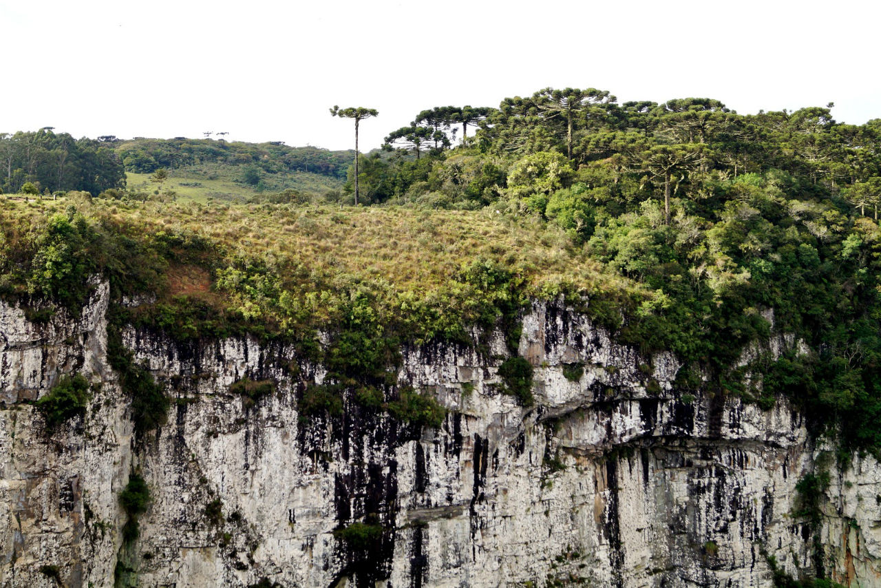 Каньон Итаибезиньо Апарадус-да-Серра Национальный Парк, Бразилия