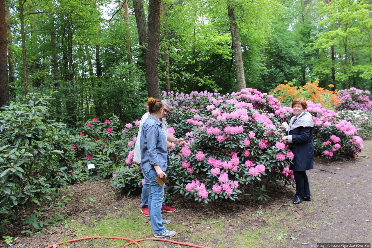 Вечного вам цветения, друзья! Рига, Латвия Вечного вам цветения, друзья! Рига, Латвия