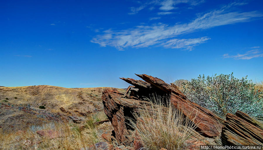 Тропик Козерога: слоеные горы и хамелеон как он есть Заповедник Намибрэнд, Намибия