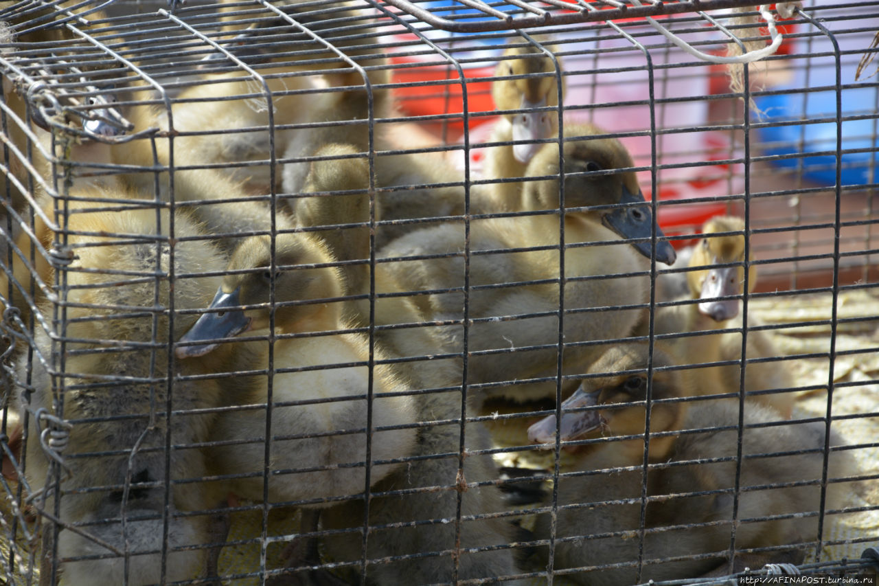 Тула похорошела... Тула, Россия Тула похорошела... Тула, Россия