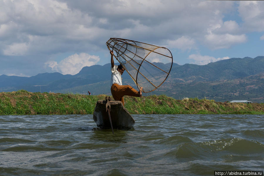 И еще вот так ловят рыбу на озере Инле Озеро Инле, Мьянма