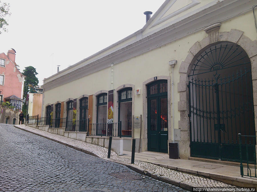 Музей естественной истории / Museu de História Natural de Sintra