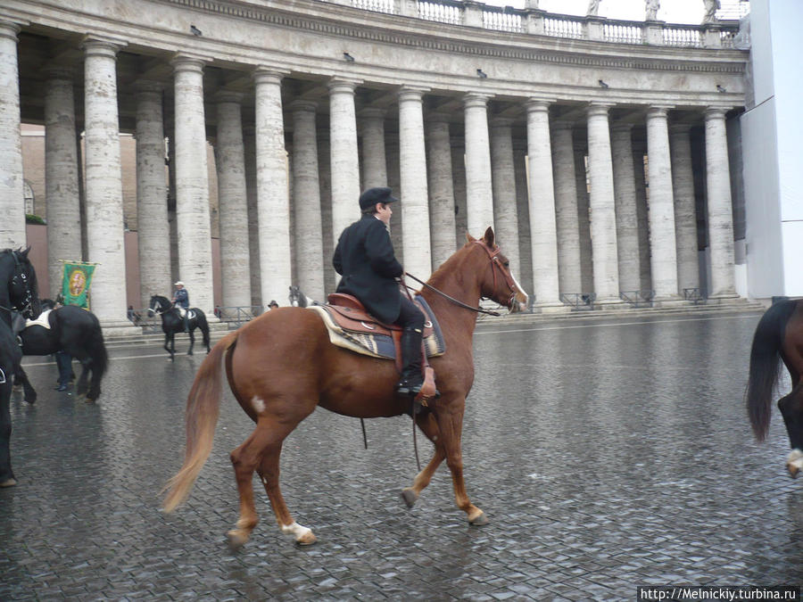 Неожиданное любование лошадьми Папы Римского Бенедикта XVI Ватикан (столица), Ватикан