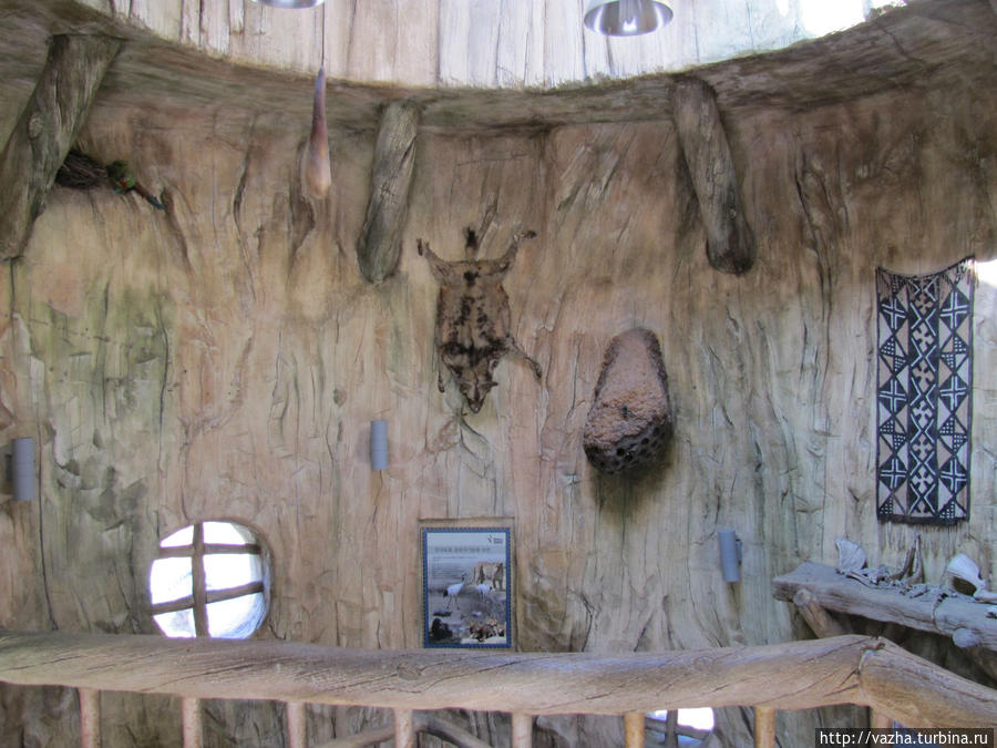 Зоопарк Сеула. Первая часть. Сеул, Республика Корея Зоопарк Сеула. Первая часть. Сеул, Республика Корея