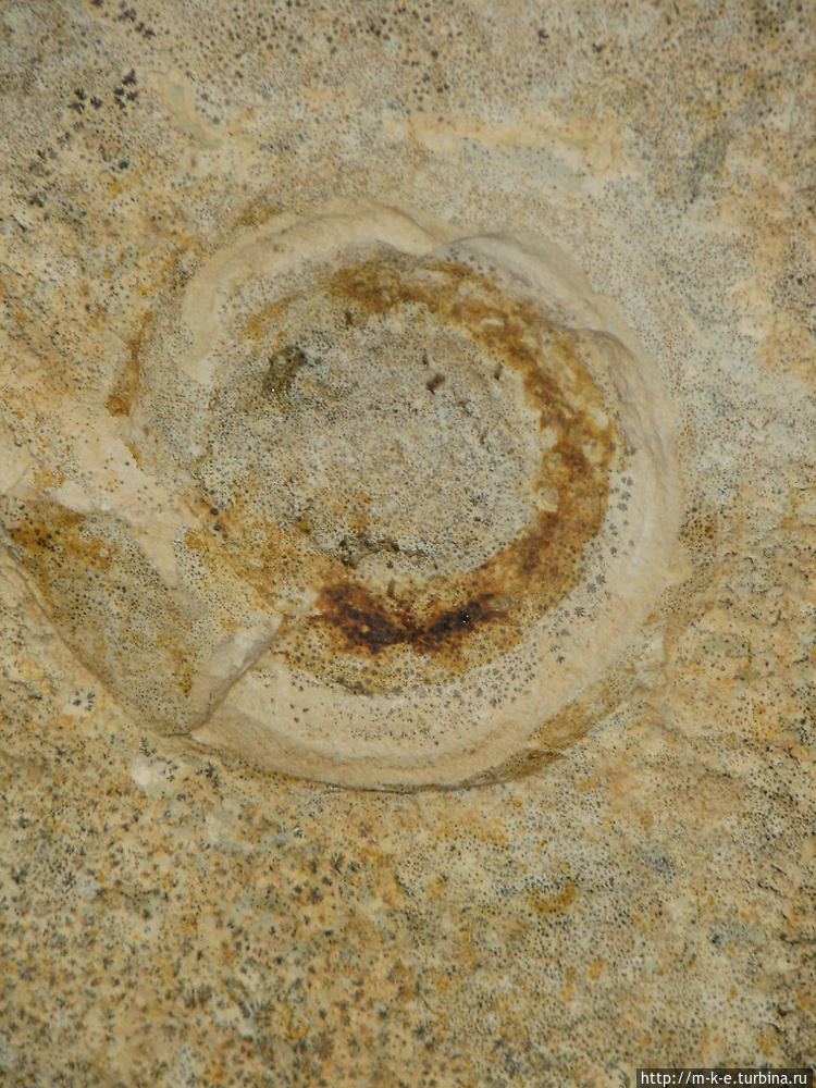 На камне можно разглядет На камне можно разглядет