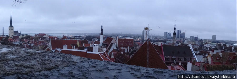 Таллин. Смотровая площадка Кохтуотса вечером и ранним утром Таллин, Эстония