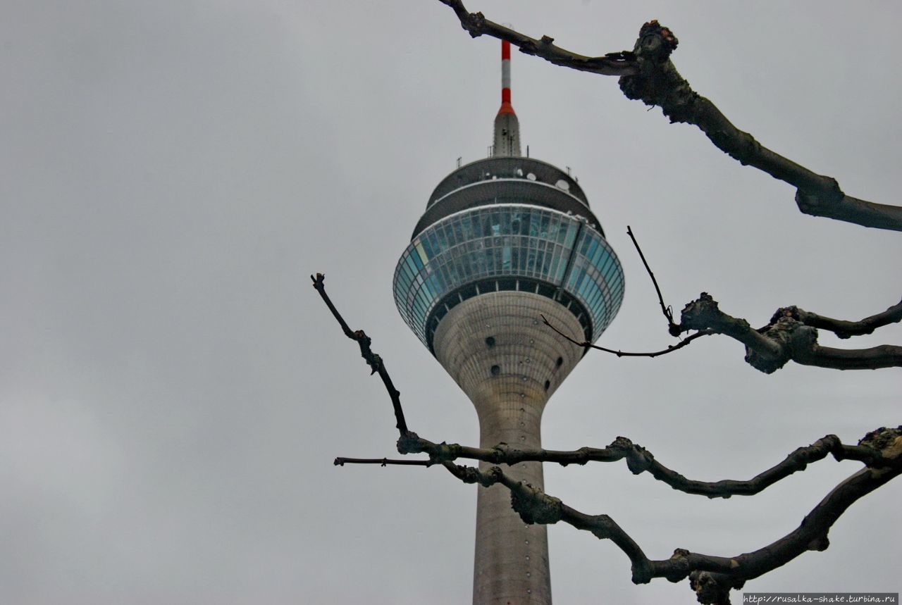 Рейнская телебашня Дюссельдорф, Германия Рейнская телебашня Дюссельдорф, Германия